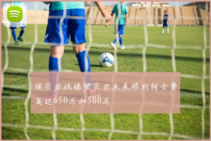 埃贝尔祝福努贝尔未来顺利转会费高达650万加500万